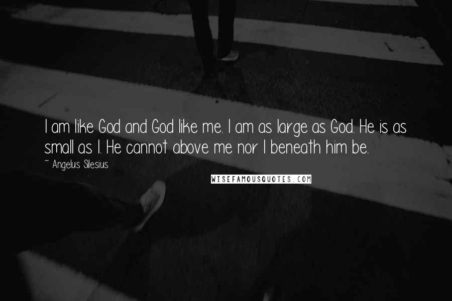 Angelus Silesius Quotes: I am like God and God like me. I am as large as God. He is as small as I. He cannot above me nor I beneath him be.