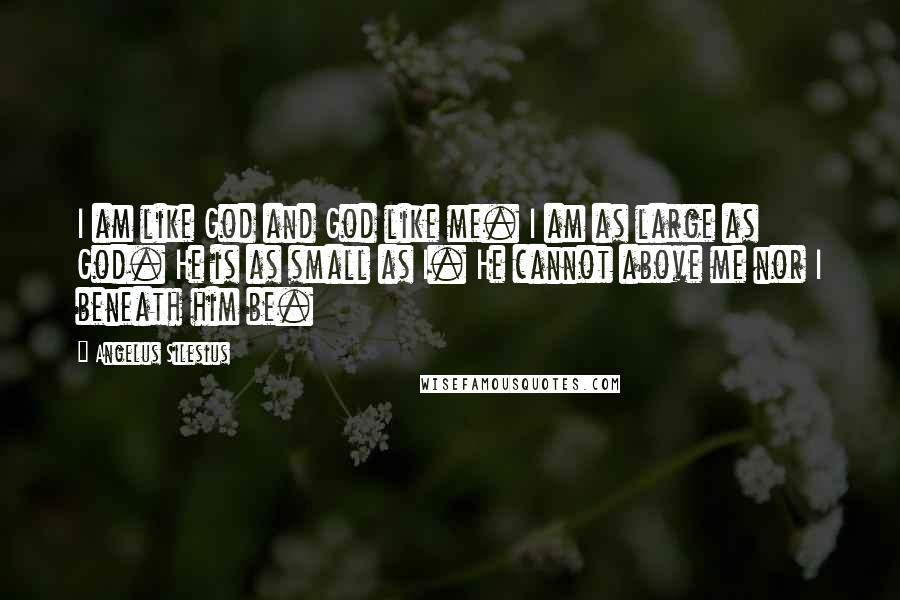 Angelus Silesius Quotes: I am like God and God like me. I am as large as God. He is as small as I. He cannot above me nor I beneath him be.