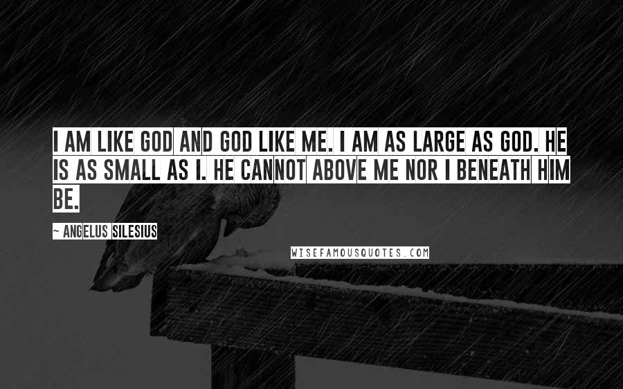 Angelus Silesius Quotes: I am like God and God like me. I am as large as God. He is as small as I. He cannot above me nor I beneath him be.