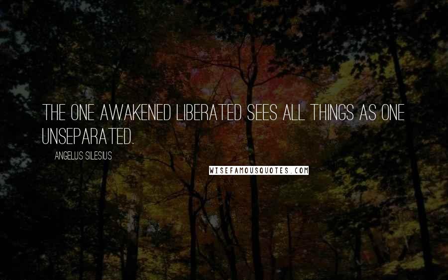 Angelus Silesius Quotes: The one awakened liberated sees all things as one unseparated.