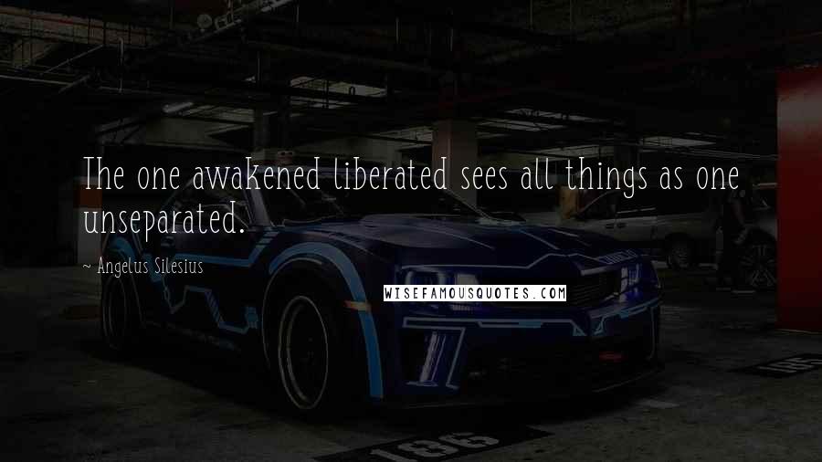 Angelus Silesius Quotes: The one awakened liberated sees all things as one unseparated.