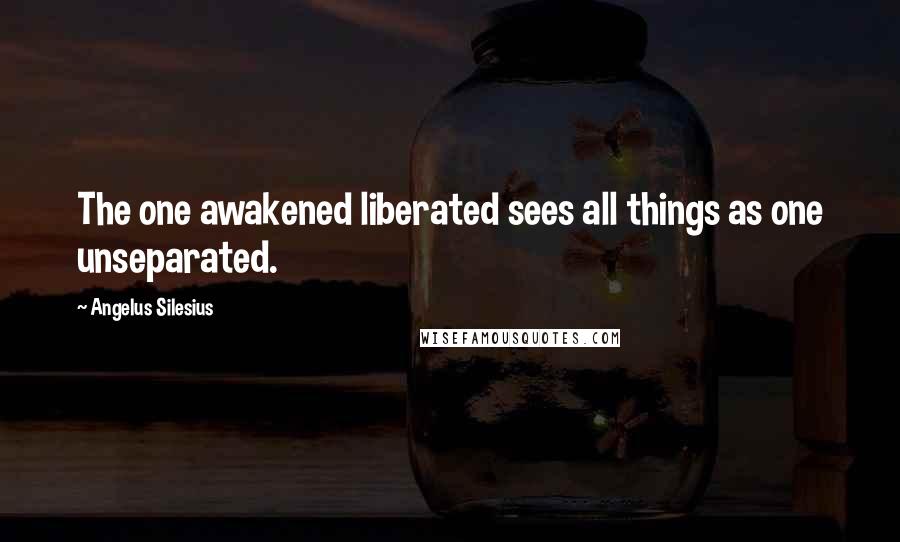Angelus Silesius Quotes: The one awakened liberated sees all things as one unseparated.