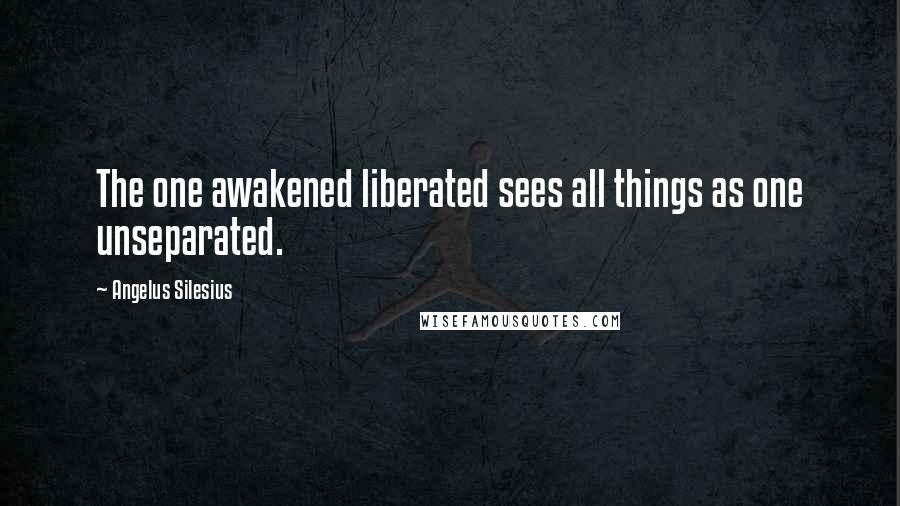Angelus Silesius Quotes: The one awakened liberated sees all things as one unseparated.