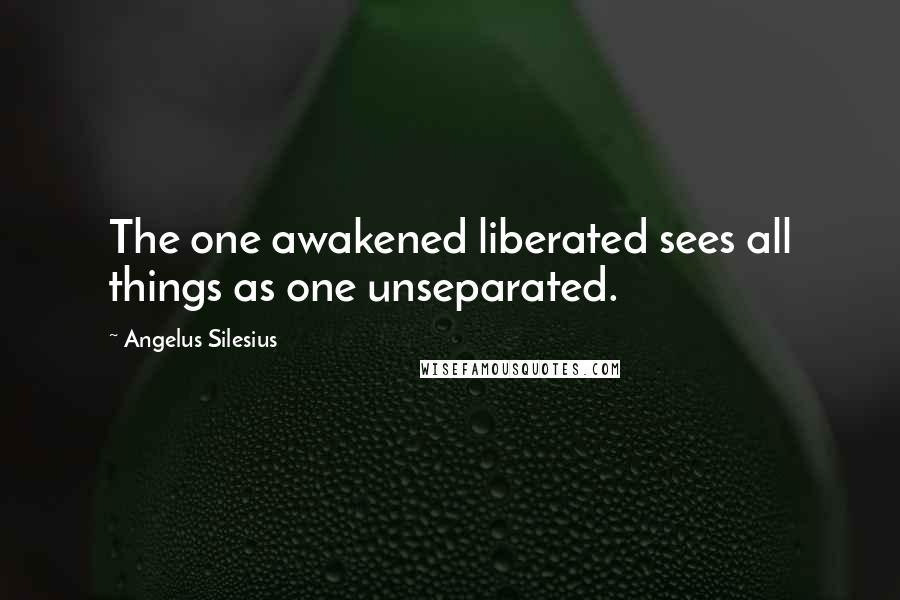 Angelus Silesius Quotes: The one awakened liberated sees all things as one unseparated.