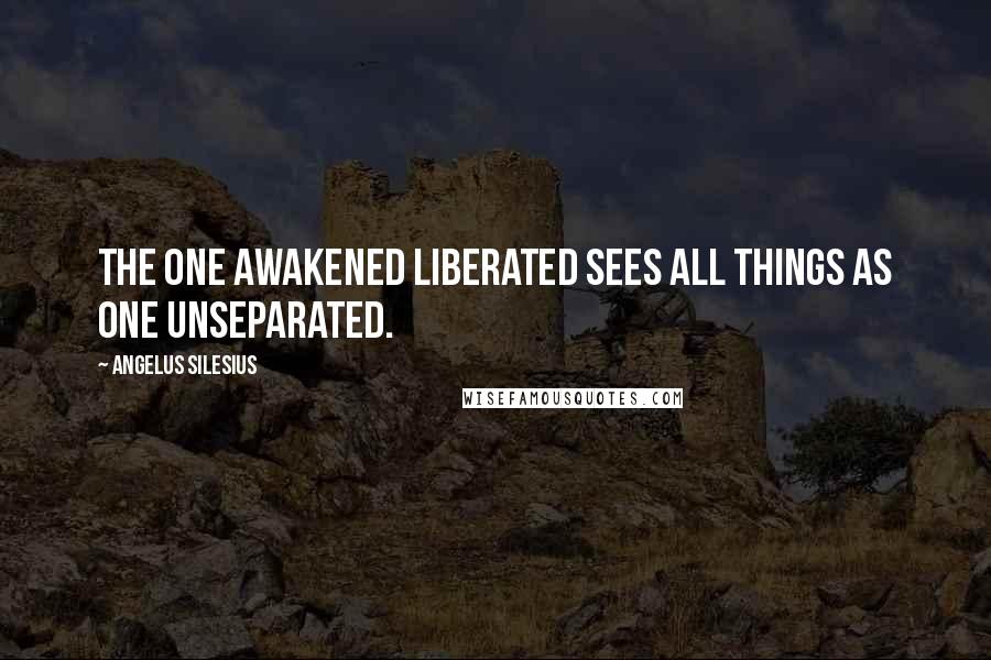 Angelus Silesius Quotes: The one awakened liberated sees all things as one unseparated.