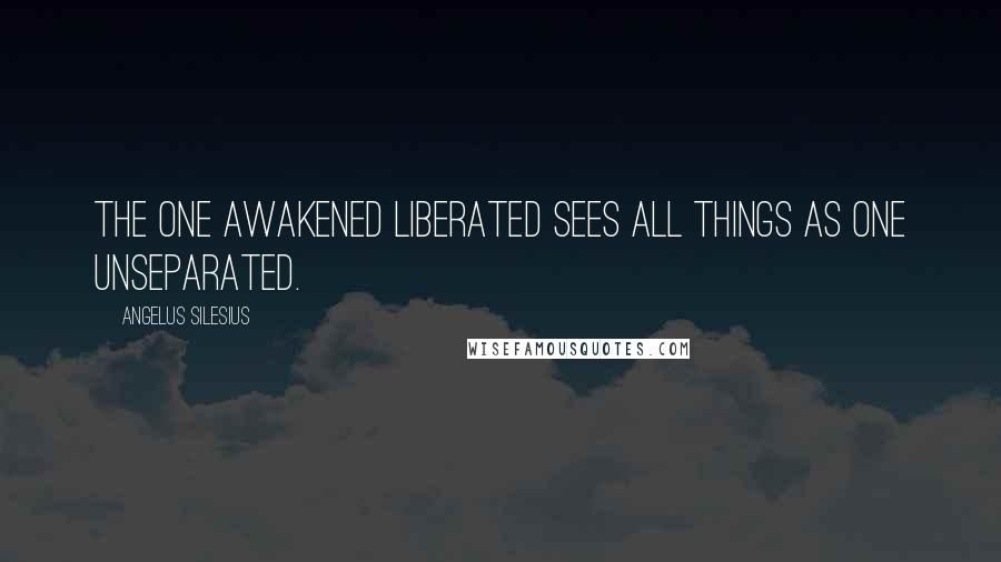 Angelus Silesius Quotes: The one awakened liberated sees all things as one unseparated.