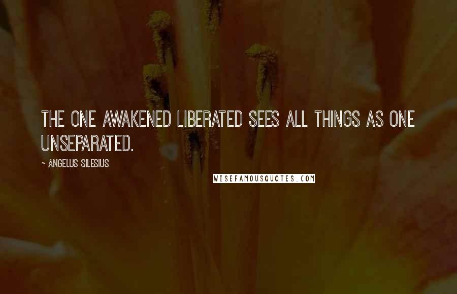 Angelus Silesius Quotes: The one awakened liberated sees all things as one unseparated.