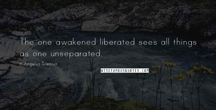 Angelus Silesius Quotes: The one awakened liberated sees all things as one unseparated.