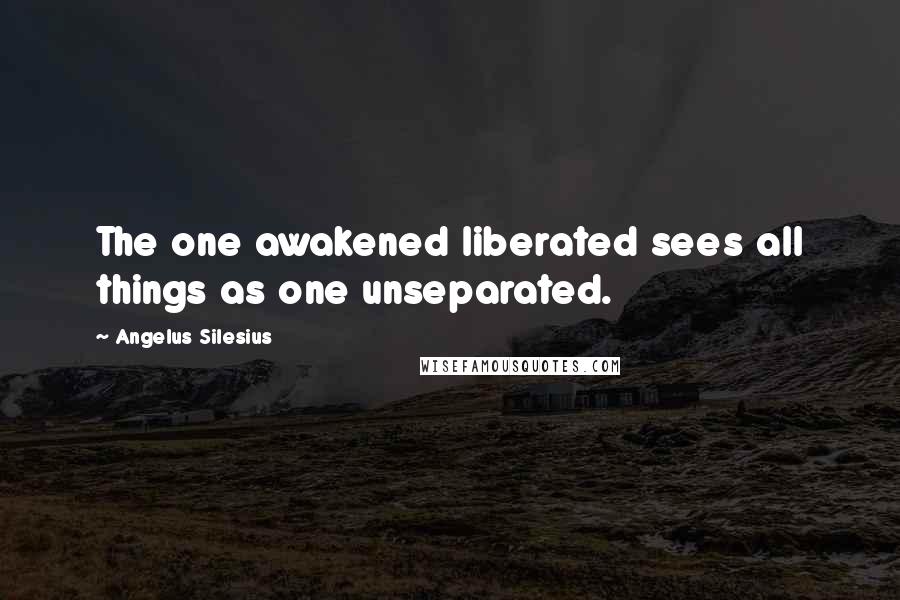 Angelus Silesius Quotes: The one awakened liberated sees all things as one unseparated.