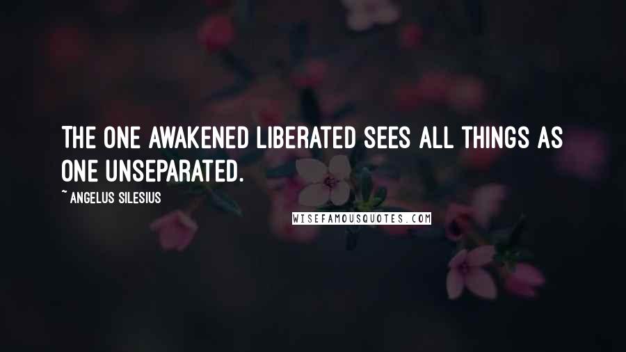Angelus Silesius Quotes: The one awakened liberated sees all things as one unseparated.