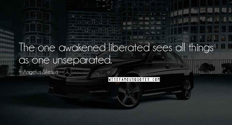 Angelus Silesius Quotes: The one awakened liberated sees all things as one unseparated.