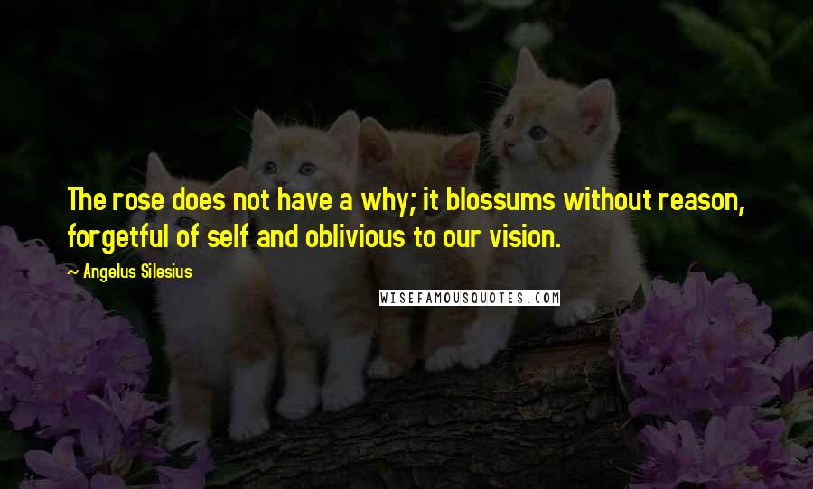 Angelus Silesius Quotes: The rose does not have a why; it blossums without reason, forgetful of self and oblivious to our vision.