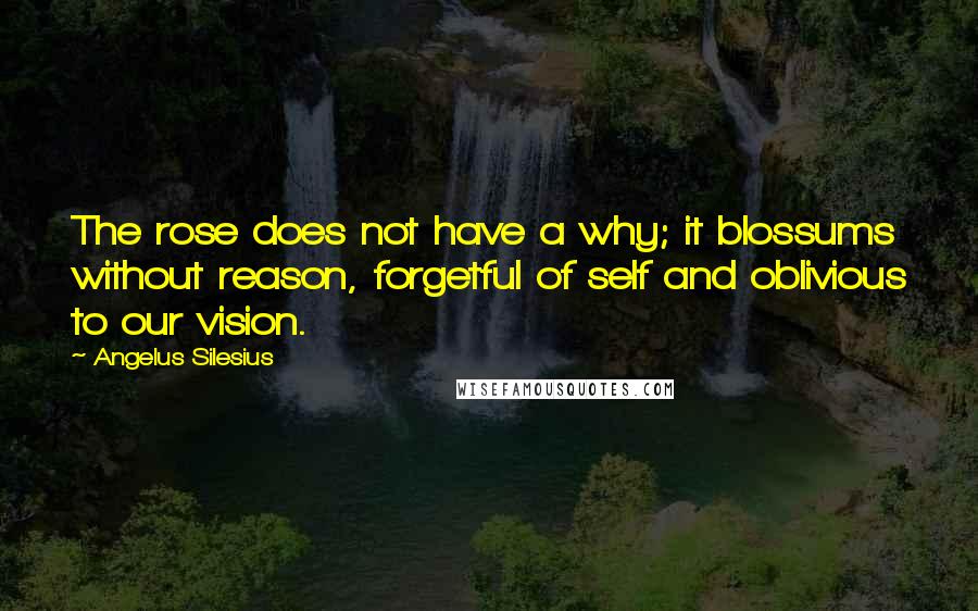 Angelus Silesius Quotes: The rose does not have a why; it blossums without reason, forgetful of self and oblivious to our vision.