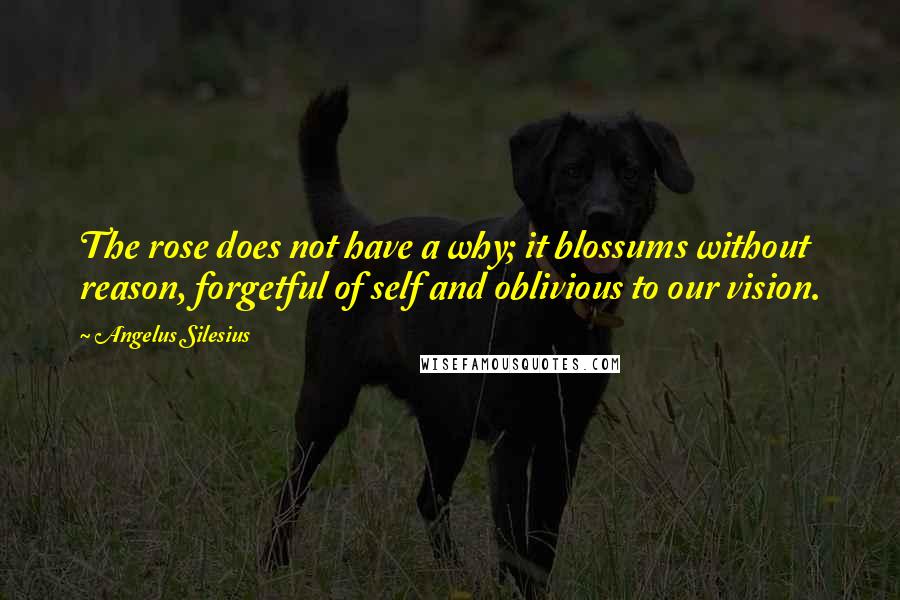 Angelus Silesius Quotes: The rose does not have a why; it blossums without reason, forgetful of self and oblivious to our vision.