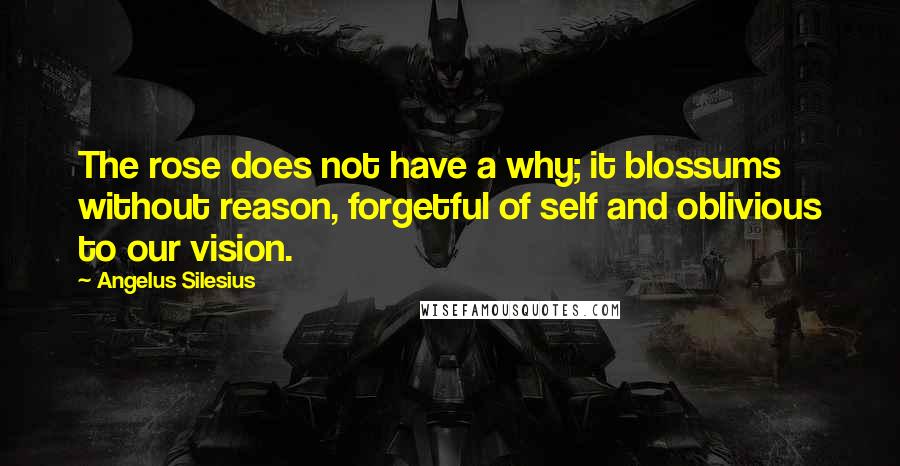 Angelus Silesius Quotes: The rose does not have a why; it blossums without reason, forgetful of self and oblivious to our vision.