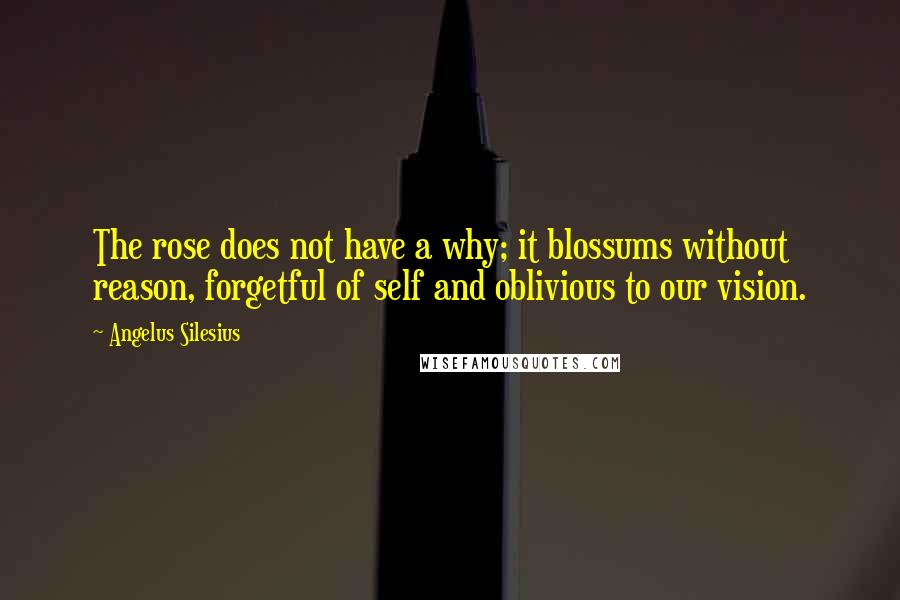 Angelus Silesius Quotes: The rose does not have a why; it blossums without reason, forgetful of self and oblivious to our vision.