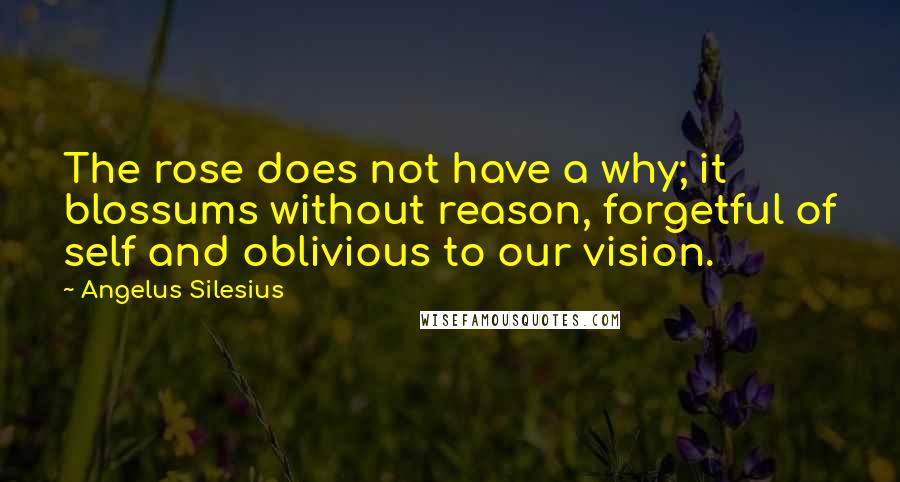 Angelus Silesius Quotes: The rose does not have a why; it blossums without reason, forgetful of self and oblivious to our vision.