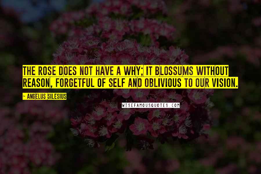 Angelus Silesius Quotes: The rose does not have a why; it blossums without reason, forgetful of self and oblivious to our vision.