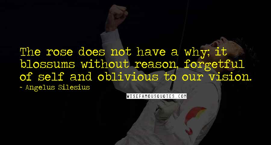 Angelus Silesius Quotes: The rose does not have a why; it blossums without reason, forgetful of self and oblivious to our vision.