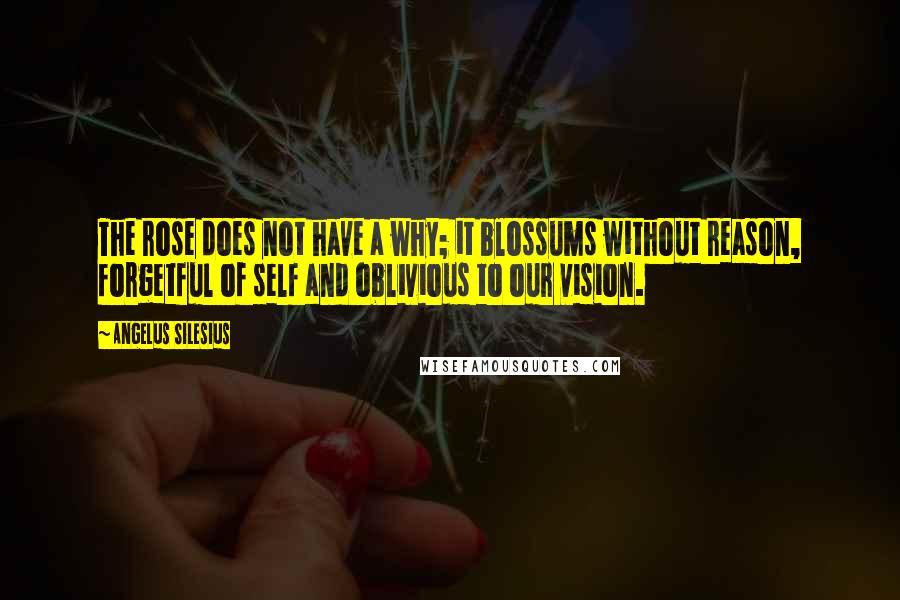 Angelus Silesius Quotes: The rose does not have a why; it blossums without reason, forgetful of self and oblivious to our vision.