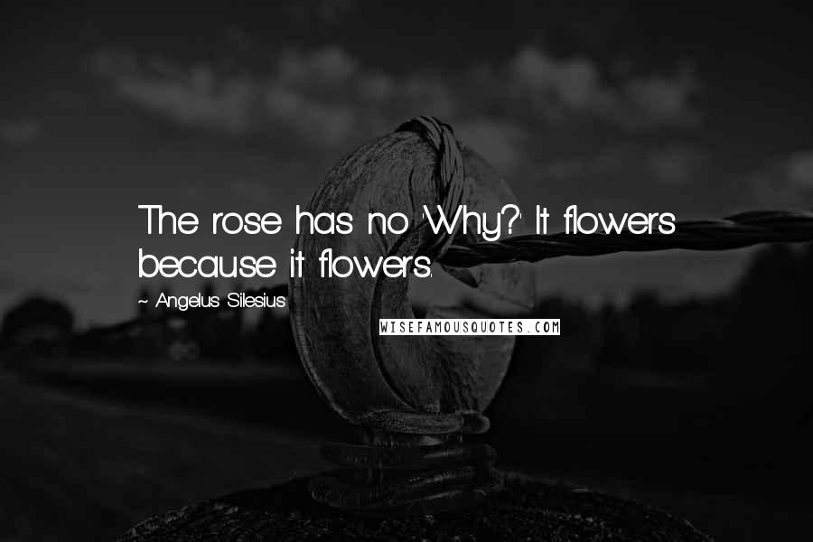 Angelus Silesius Quotes: The rose has no 'Why?' It flowers because it flowers.