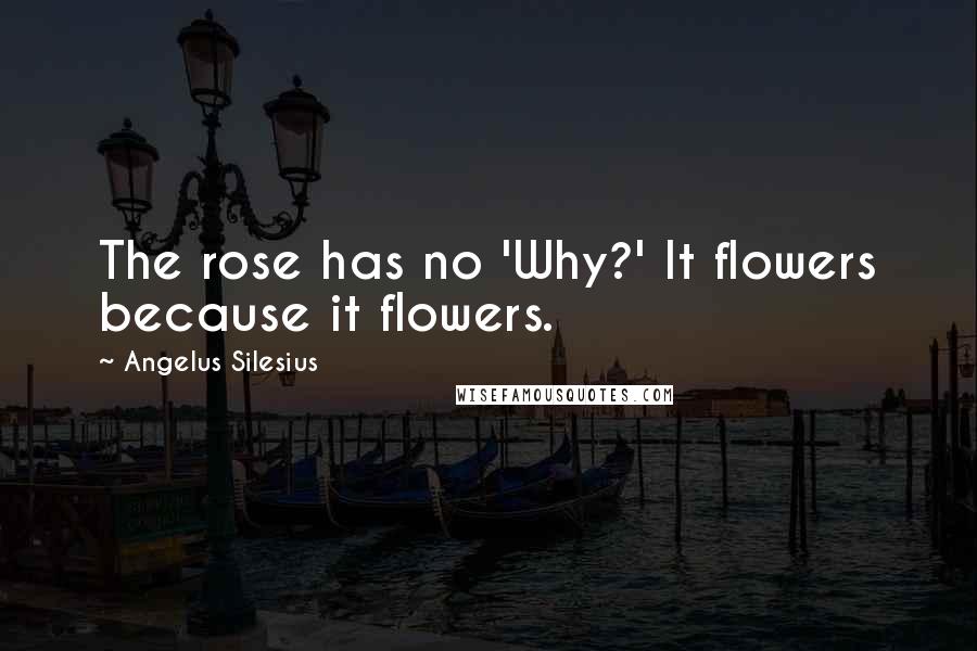Angelus Silesius Quotes: The rose has no 'Why?' It flowers because it flowers.