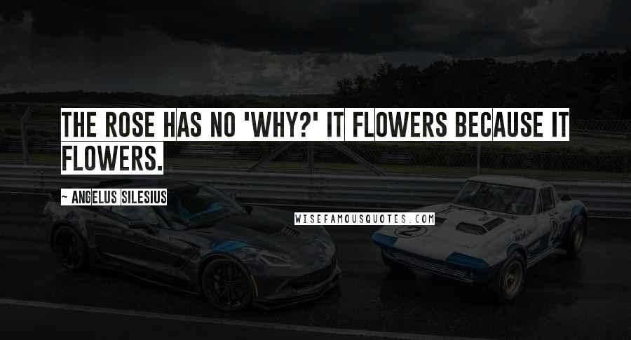 Angelus Silesius Quotes: The rose has no 'Why?' It flowers because it flowers.