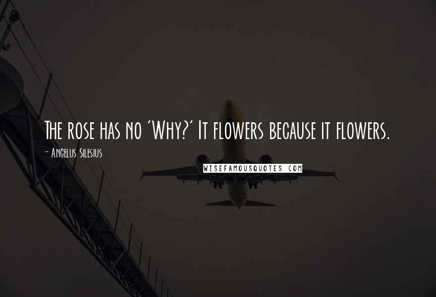 Angelus Silesius Quotes: The rose has no 'Why?' It flowers because it flowers.
