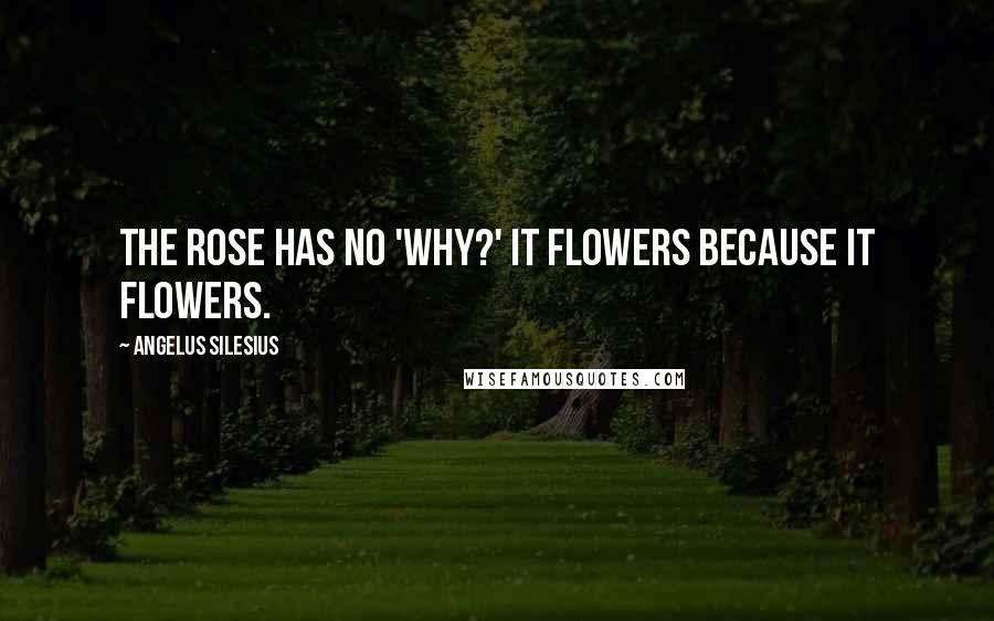 Angelus Silesius Quotes: The rose has no 'Why?' It flowers because it flowers.