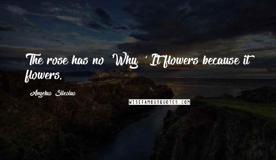 Angelus Silesius Quotes: The rose has no 'Why?' It flowers because it flowers.
