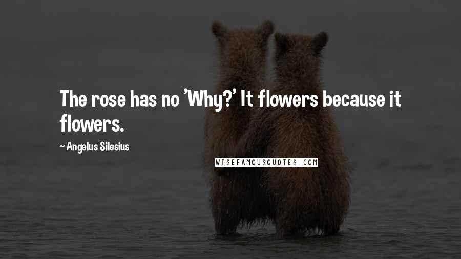Angelus Silesius Quotes: The rose has no 'Why?' It flowers because it flowers.