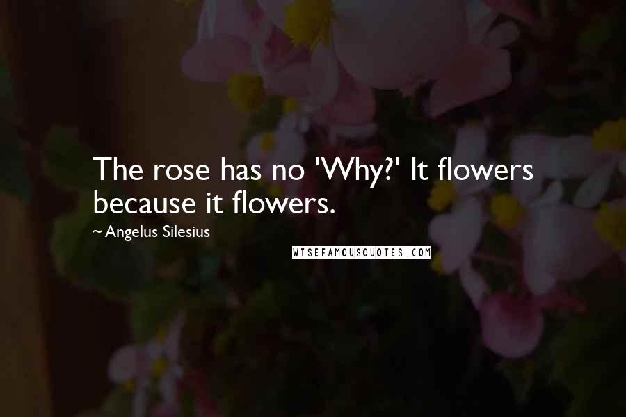 Angelus Silesius Quotes: The rose has no 'Why?' It flowers because it flowers.