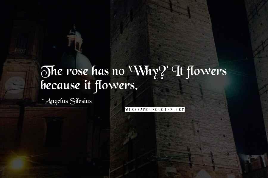 Angelus Silesius Quotes: The rose has no 'Why?' It flowers because it flowers.