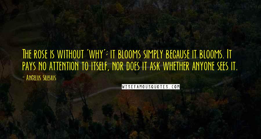 Angelus Silesius Quotes: The rose is without 'why'; it blooms simply because it blooms. It pays no attention to itself, nor does it ask whether anyone sees it.