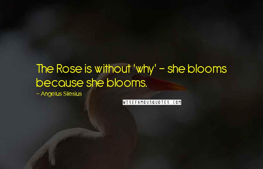 Angelus Silesius Quotes: The Rose is without 'why' - she blooms because she blooms.