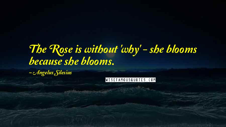 Angelus Silesius Quotes: The Rose is without 'why' - she blooms because she blooms.