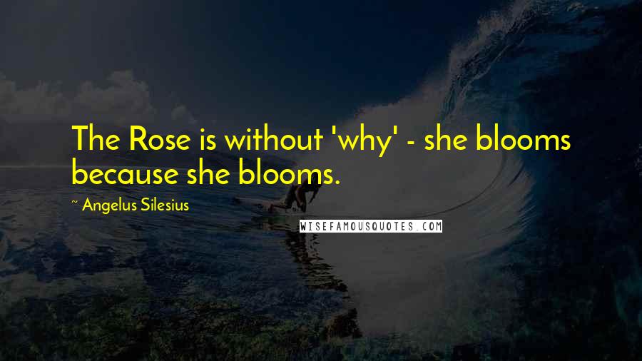 Angelus Silesius Quotes: The Rose is without 'why' - she blooms because she blooms.