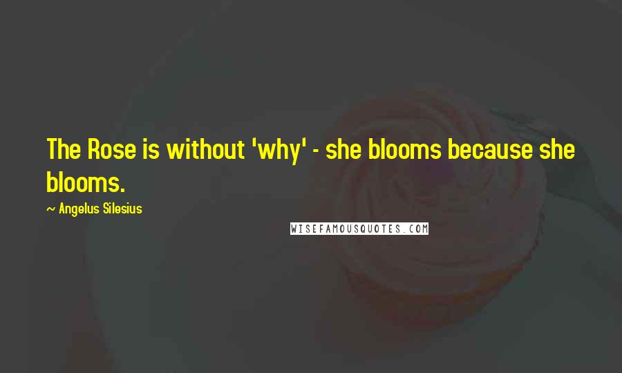 Angelus Silesius Quotes: The Rose is without 'why' - she blooms because she blooms.