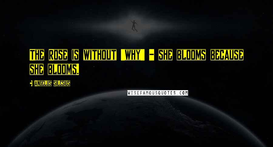 Angelus Silesius Quotes: The Rose is without 'why' - she blooms because she blooms.
