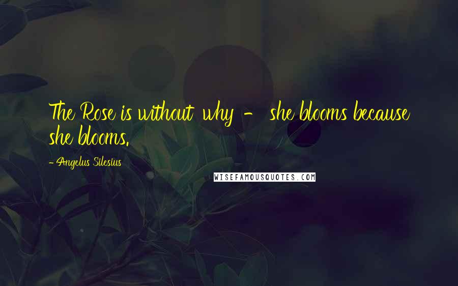 Angelus Silesius Quotes: The Rose is without 'why' - she blooms because she blooms.