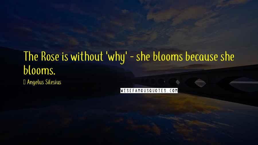 Angelus Silesius Quotes: The Rose is without 'why' - she blooms because she blooms.