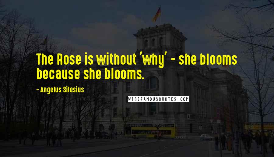 Angelus Silesius Quotes: The Rose is without 'why' - she blooms because she blooms.