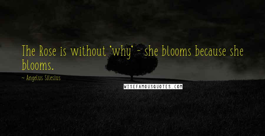 Angelus Silesius Quotes: The Rose is without 'why' - she blooms because she blooms.