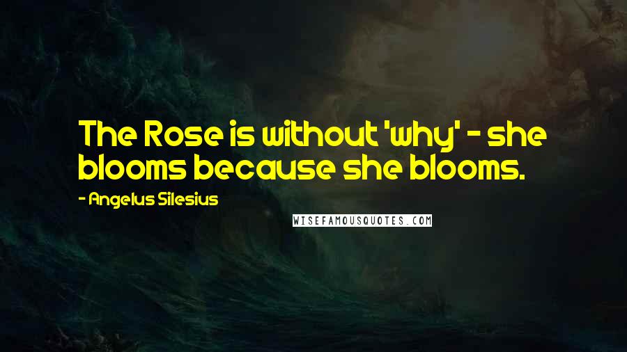 Angelus Silesius Quotes: The Rose is without 'why' - she blooms because she blooms.