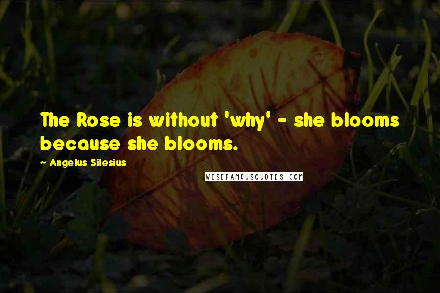 Angelus Silesius Quotes: The Rose is without 'why' - she blooms because she blooms.