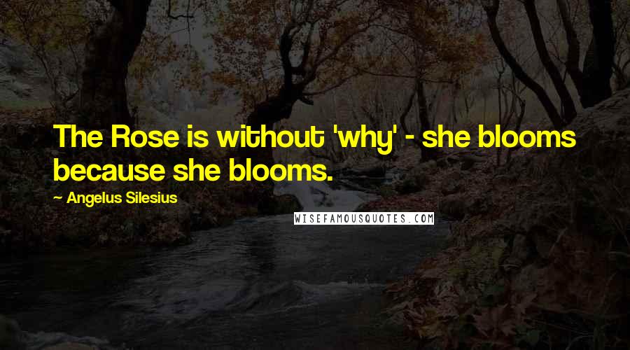 Angelus Silesius Quotes: The Rose is without 'why' - she blooms because she blooms.