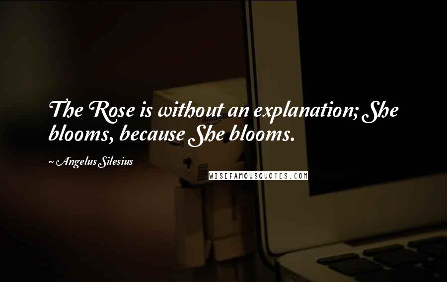 Angelus Silesius Quotes: The Rose is without an explanation; She blooms, because She blooms.