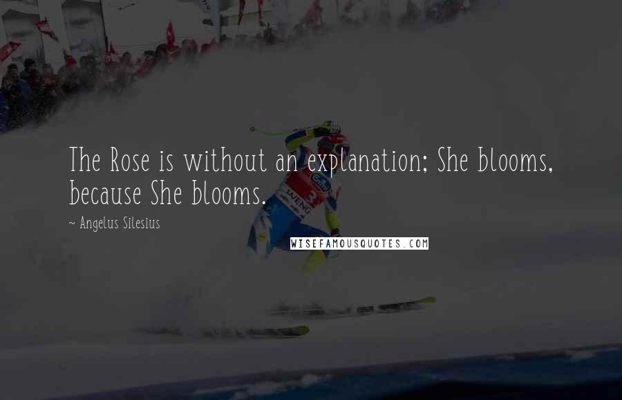 Angelus Silesius Quotes: The Rose is without an explanation; She blooms, because She blooms.