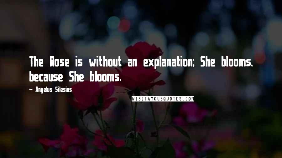 Angelus Silesius Quotes: The Rose is without an explanation; She blooms, because She blooms.