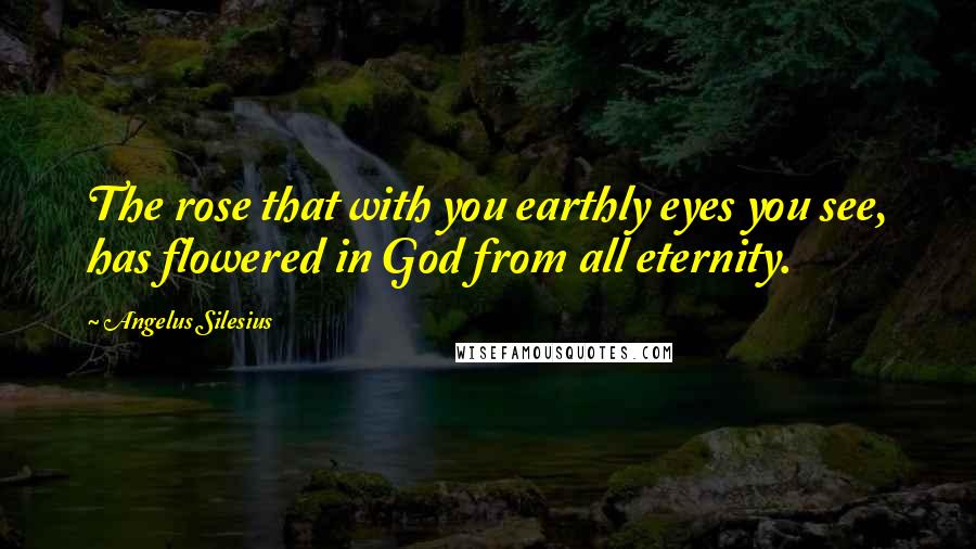 Angelus Silesius Quotes: The rose that with you earthly eyes you see, has flowered in God from all eternity.